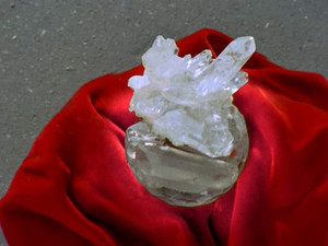 Methuselah's Gift