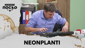 2490 Neonplanti