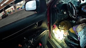 Reckless Driver Search