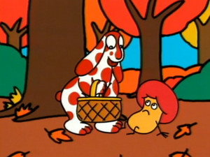 Gli amici funghi