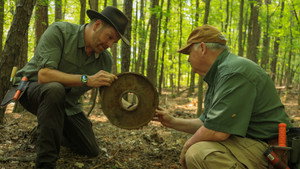 Chasing Civil War Gold