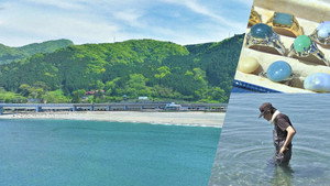 Nature's Treasure Hunt on a Niigata Beach