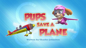 Pups Save a Plane