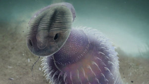 How Worm Holes Ended Wormworld