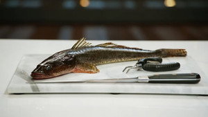 Skills Challenge: Fish Butchery