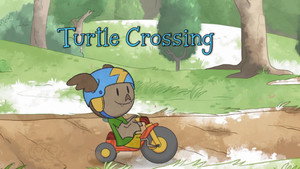 Turtle Crossing