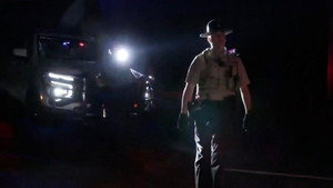 Wedding Disturbance