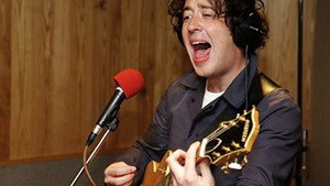 Wombats