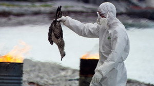 Fatal Contamination (2)