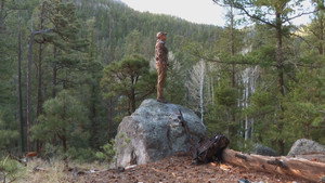 Conservation History: New Mexico Turkey