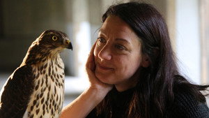 H is for Hawk: A New Chapter