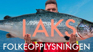 Laks