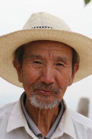 Taiyi Yang