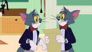 Mega-Tom