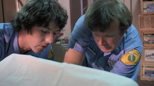 The Screenwriter
