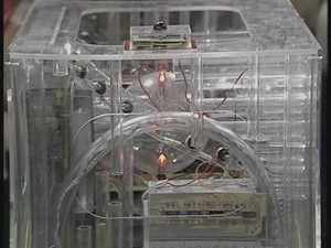 Orac
