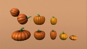 Big Pond Pumpkin Patch