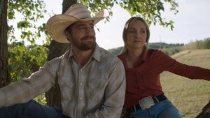 Fear Is a Liar