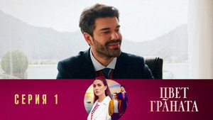 1.1