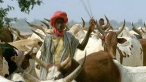 Africa: Love in the Sahel