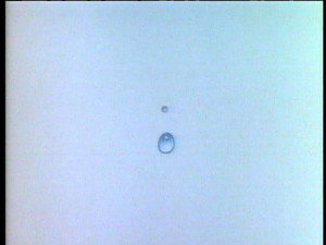 Acid Rain
