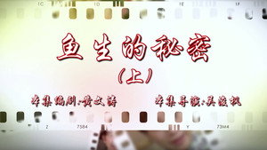 Episode 45