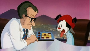 Wakko's New Gookie
