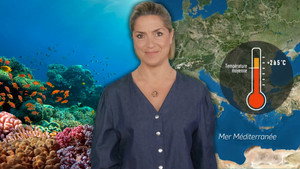 Heatwave: the effect on the seas