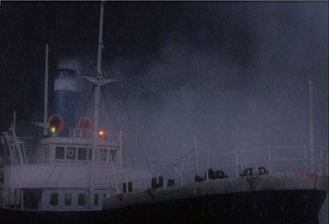 Salty's Stormy Tale