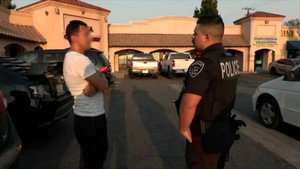 Gun Thrown in Pursuit