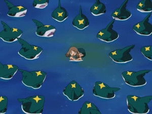 Sharpedo Attack!