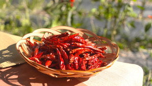TOGARASHI PEPPER