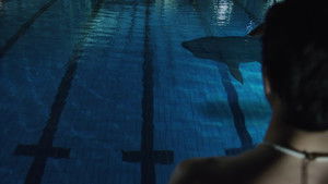 Pool Shark