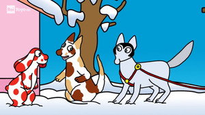 Il cane da slitta