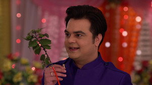 Sanjana Weds A Dog?