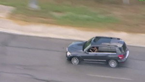 Reckless at the Wheel