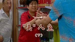 Episode 1991