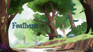Feathers