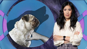 Bred to ruin: From animal cruelty to famine