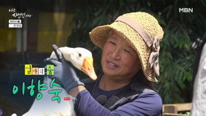 Episode 667