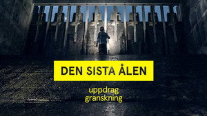 Episode 21
