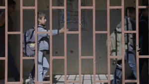 Taking Back Iraq & Lost Generation