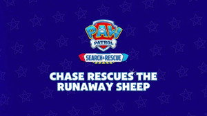 Search & Rescue: Chase Rescues the Runaway Sheep