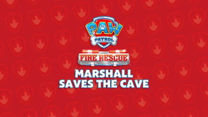 Fire Rescue: Marshall Saves the Cave
