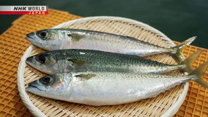 SABA