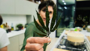 Smoke Your Greens