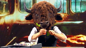 Can a Bison Buffalo Penn & Teller?