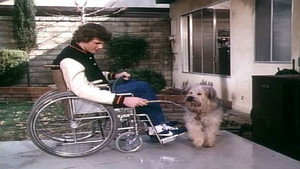 Boomer and the bucketeers