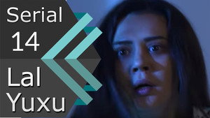 Episode 14