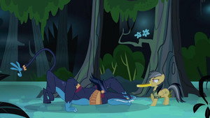 Daring Don't